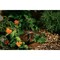 Orbit Orbit Full-Circle Drip Irrigation Micro Sprinkler on Stake 29 gph 1 pk 67136W - alternate 3